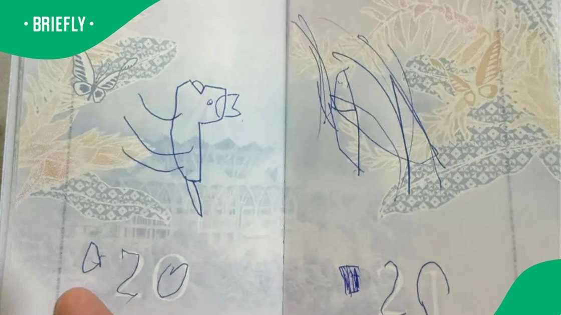 Blue pen scribbles, including a crude drawing of a dinosaur and the numbers ‘20’, defaced two open visa pages of an official passport Blue pen scribbles, including a crude drawing of a dinosaur and the numbers ‘20’, defaced two open visa pages of an official passport