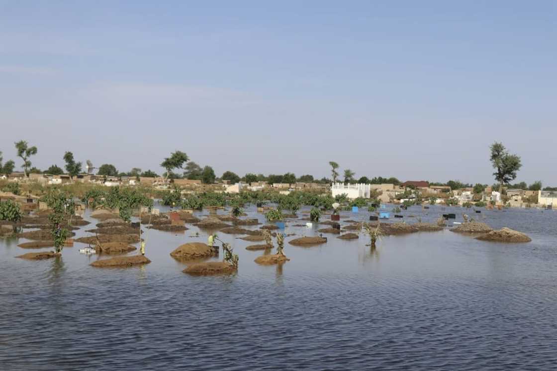 Waterlogged: Toukra cemetery Waterlogged: Toukra cemetery
