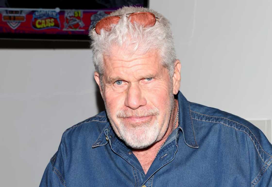 Is Ron Perlman married? Is Ron Perlman married?
