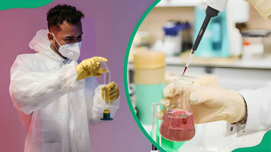 How much is a DNA test price in Johannesburg How much is a DNA test price in Johannesburg