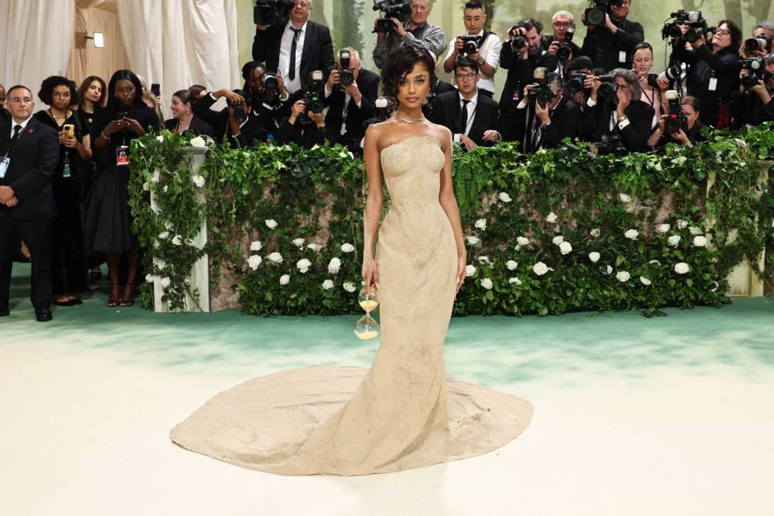 Tyla at the Met Gala Tyla at the Met Gala