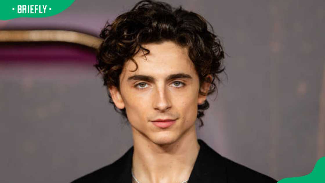 Timothée Chalamet at the "Dune" UK Special Screening