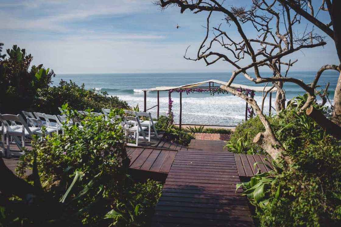 beach wedding venues cape town beach wedding venues cape town