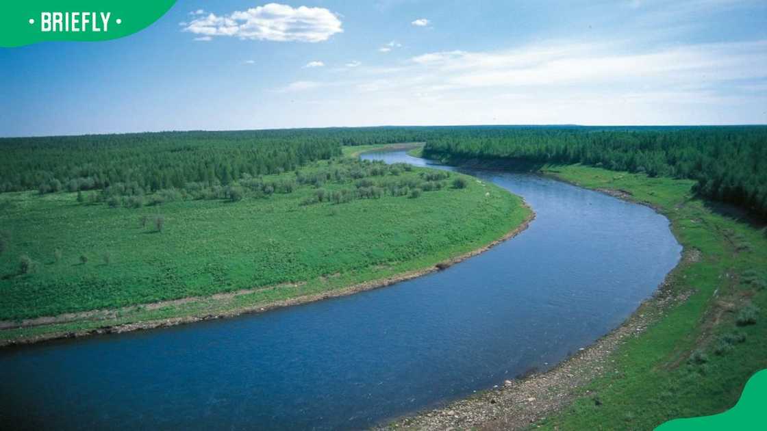 An aerial view of the Yenisey River An aerial view of the Yenisey River