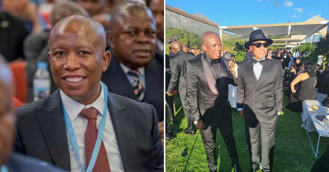 EFF, Julius Malema, Mzansi EFF, Julius Malema, Mzansi