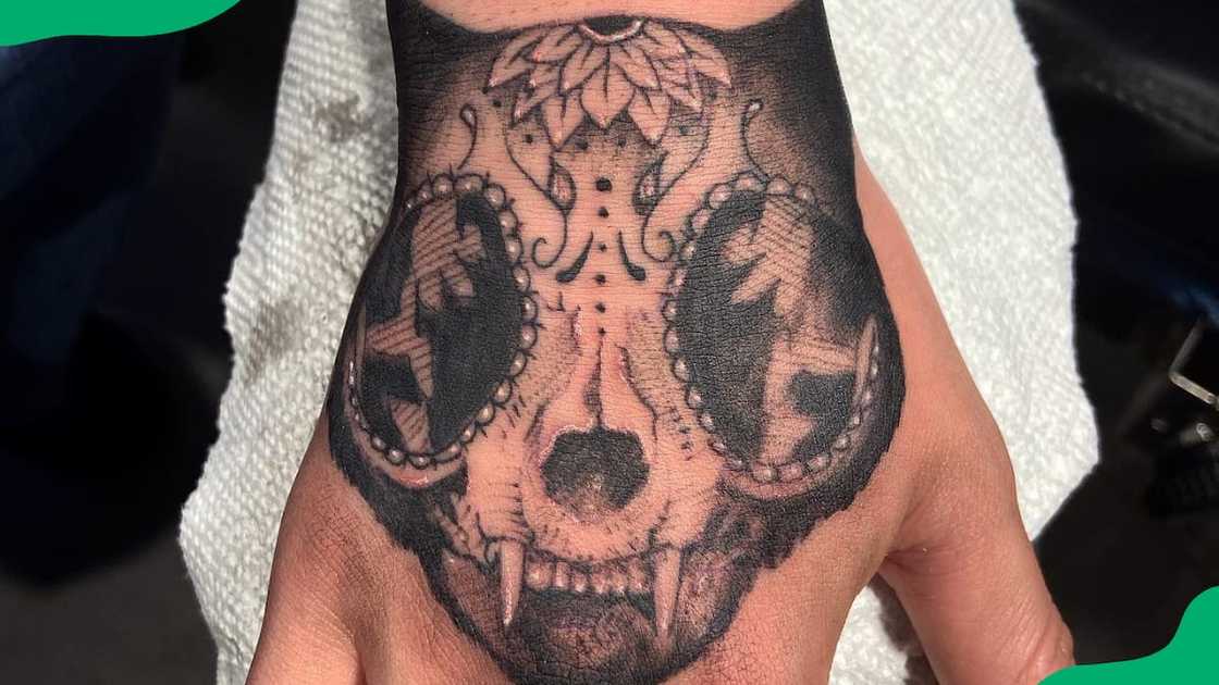Cat skull tattoo Cat skull tattoo