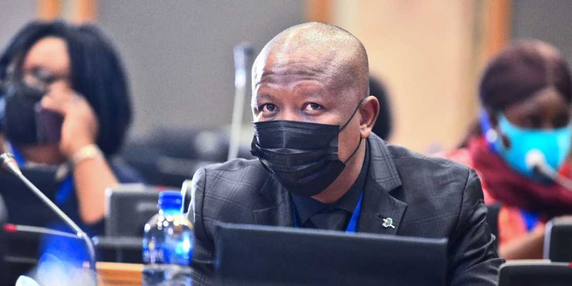 Julius Malema Responds to Getting Shoved in Parliament, SA Says: "I Admire Your Calmness" Julius Malema Responds to Getting Shoved in Parliament, SA Says: "I Admire Your Calmness"