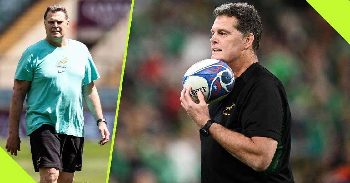 Rassie Erasmus will have more options in his squad. Rassie Erasmus will have more options in his squad.