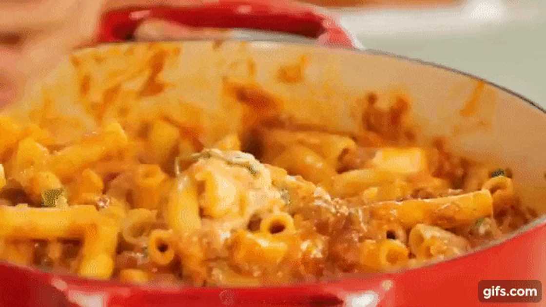 pasta with ground beef and tomato sauce pasta with ground beef and tomato sauce