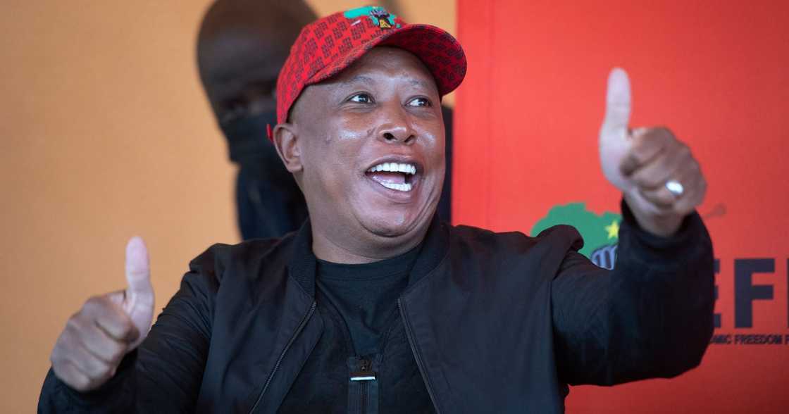 Julius Malema, flushing toilets, Durban, Local government elections Julius Malema, flushing toilets, Durban, Local government elections
