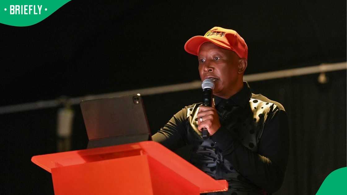 Julius Malema made the comments at the EFF’s 2nd Plenum of the 3rd National People’s Assembly (NPA)