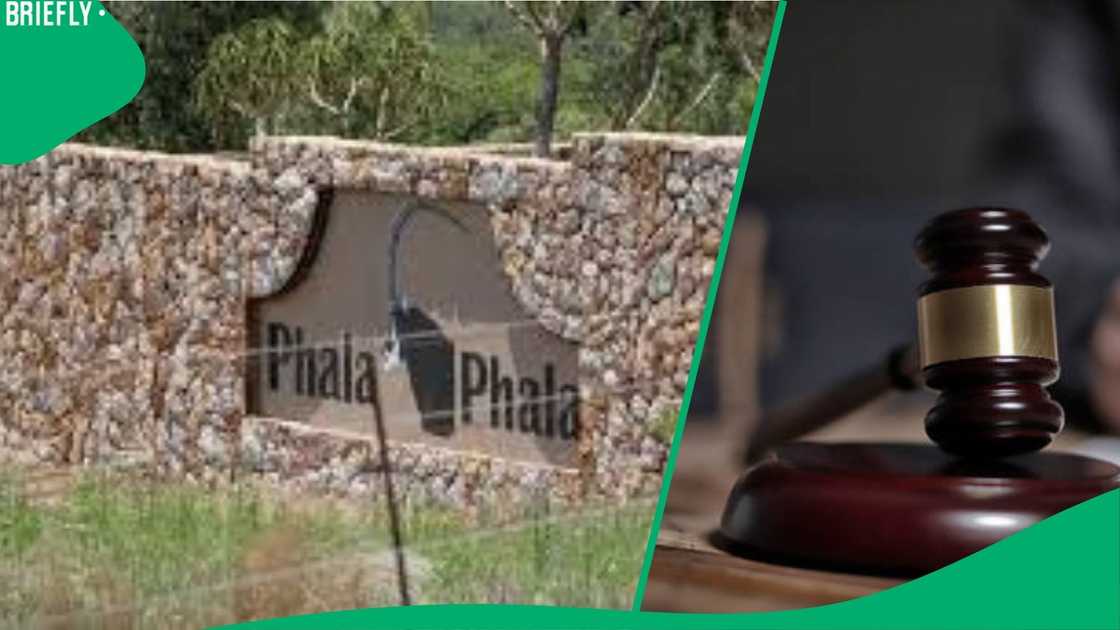 Phala Phala Phala Phala