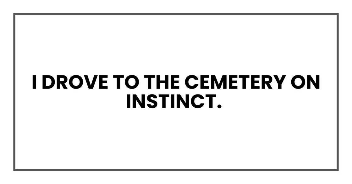 I drove to the cemetery on instinct. I drove to the cemetery on instinct.
