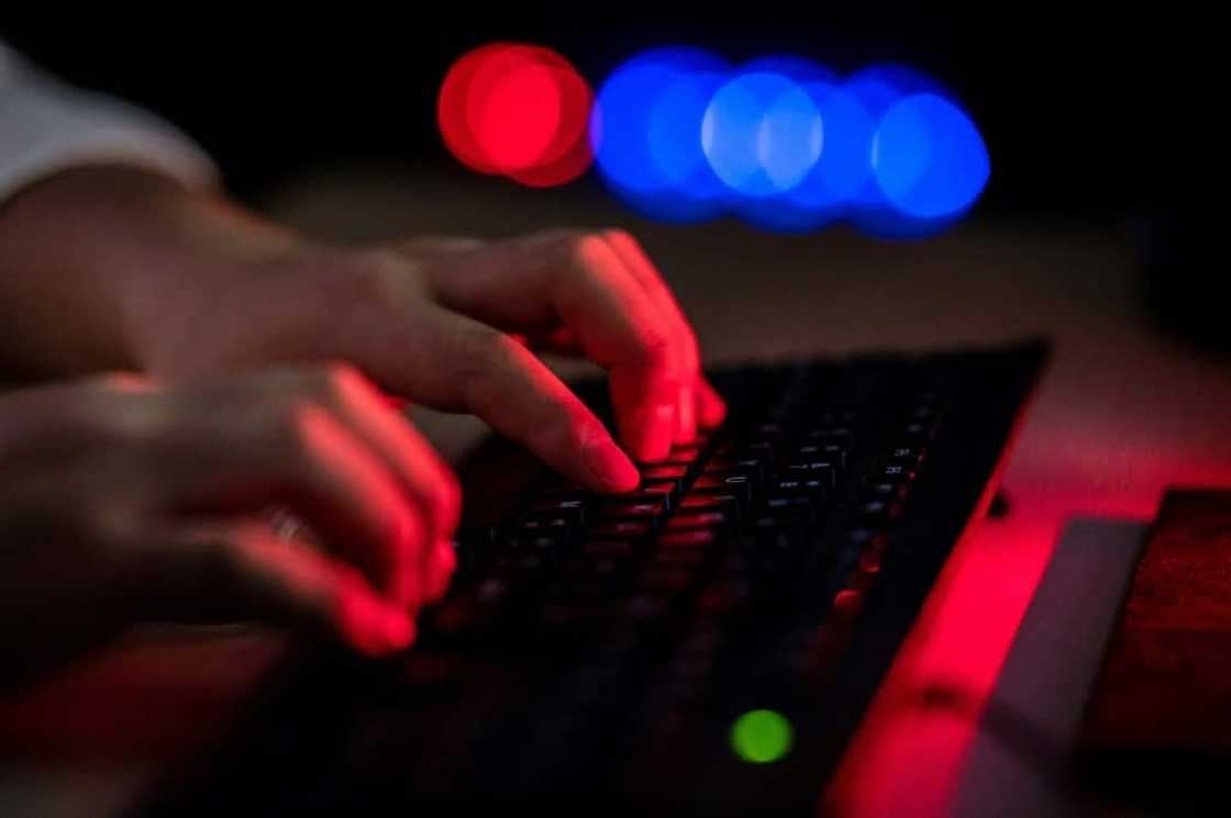 The new law will safeguard journalists' sources and their content published online The new law will safeguard journalists' sources and their content published online
