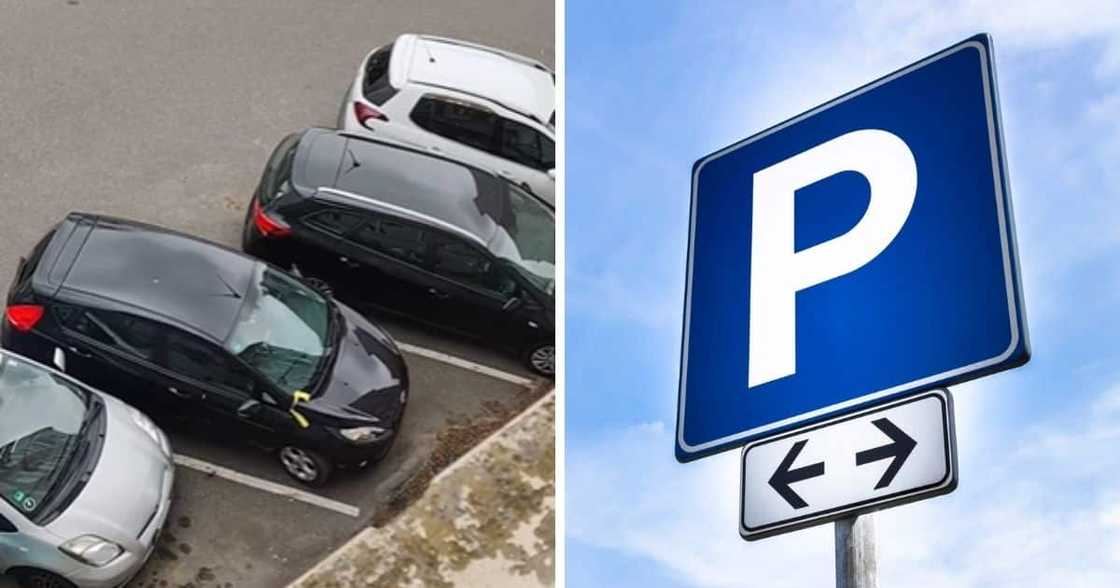 bad driver, parking spot bad driver, parking spot