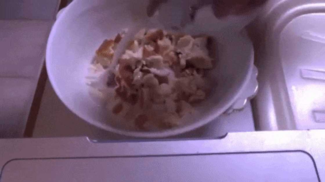 Tradisionele bobotie resep