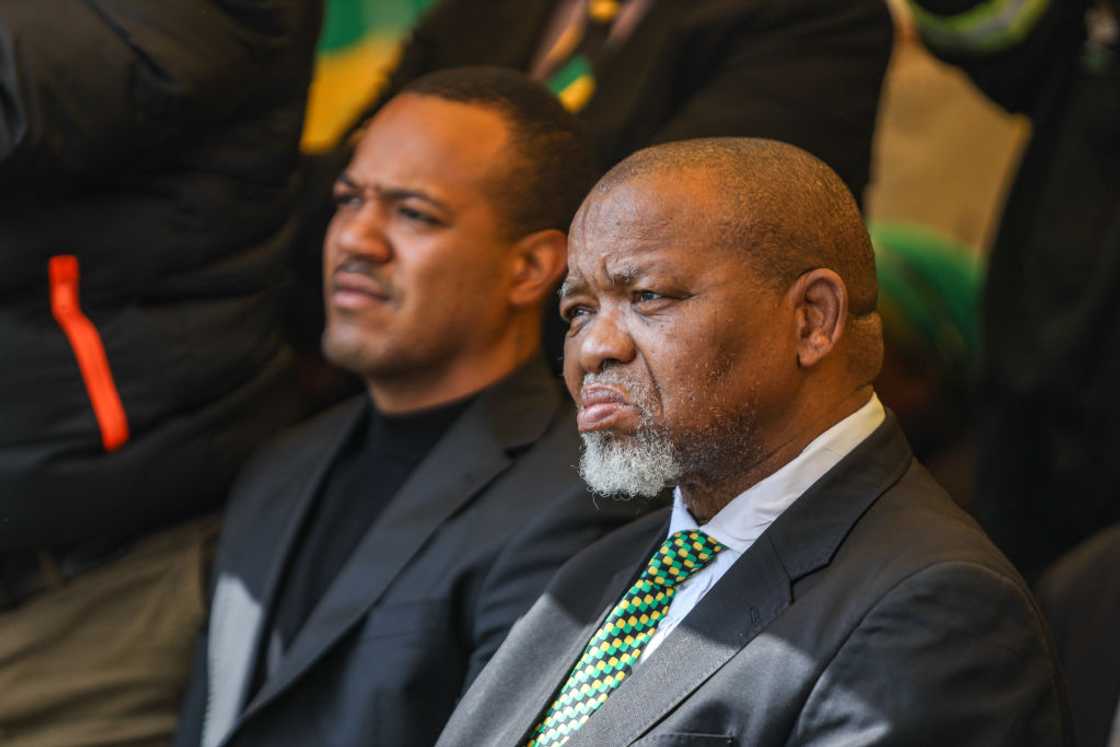 Gwede Mantashe said companies in the construction, farming and hospitality sector must prioritise South Africans