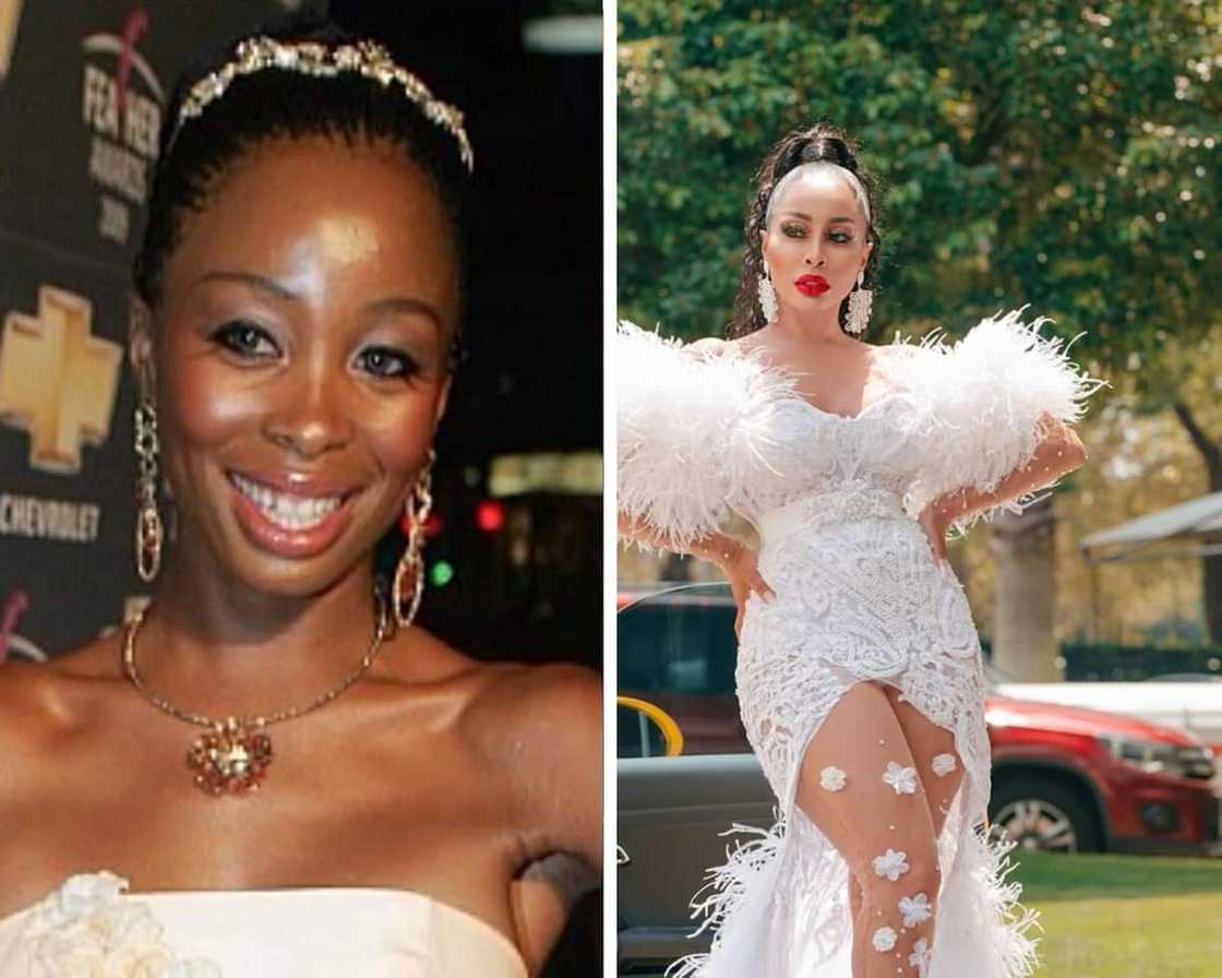 SA celebrities before and after plastic surgery