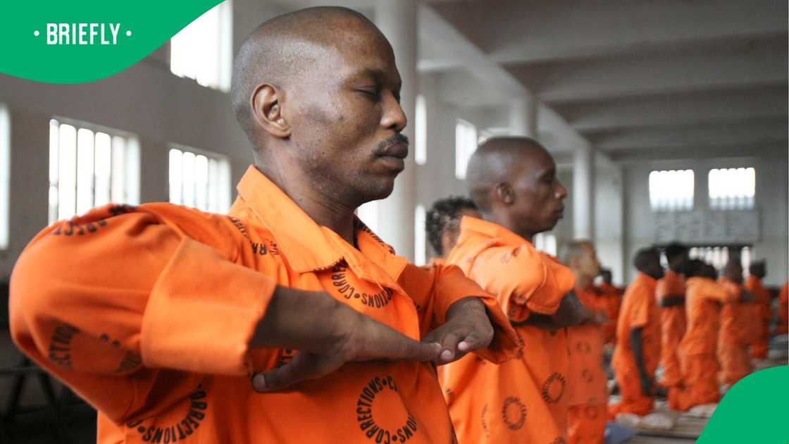 According to DCS spokesperson Singabakho Nxumalo, the investigation revealed that a search was conducted on 11 March without the knowledge of the manager. According to DCS spokesperson Singabakho Nxumalo, the investigation revealed that a search was conducted on 11 March without the knowledge of the manager.