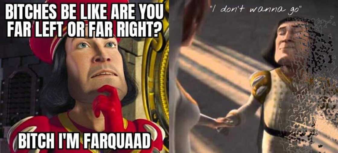 Lord Farquaad's meme Lord Farquaad's meme