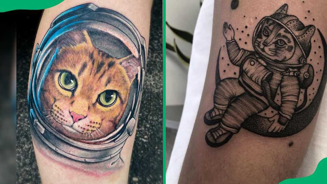 Cat astronaut in space Cat astronaut in space