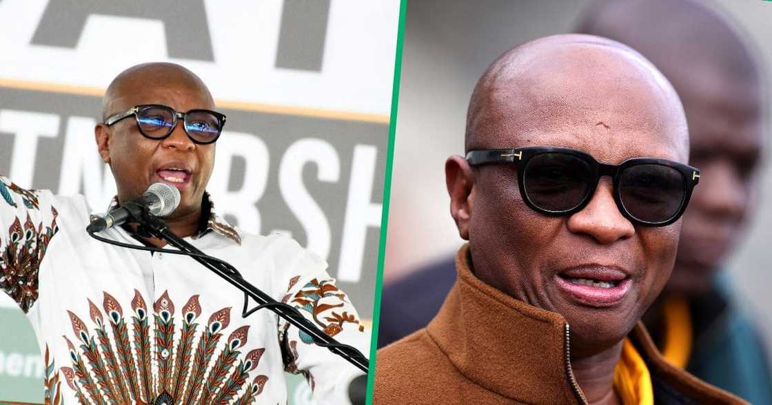 Zizi Kodwa steps aside