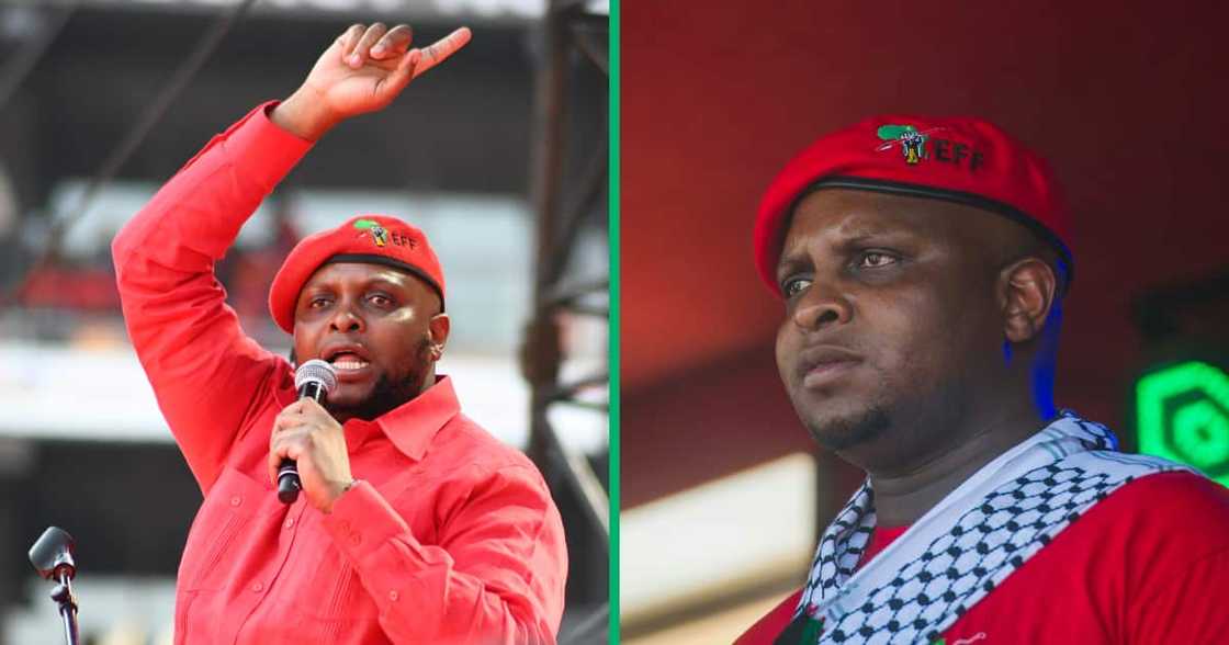Collage image of EFF's Floyd Shivambu Collage image of EFF's Floyd Shivambu