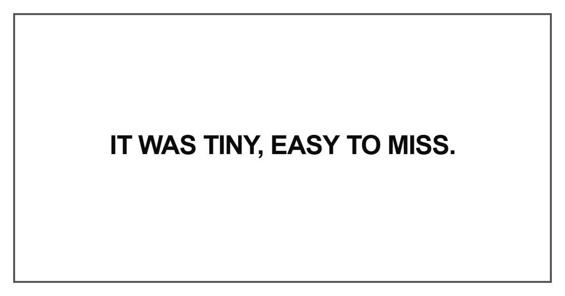 It was tiny, easy to miss