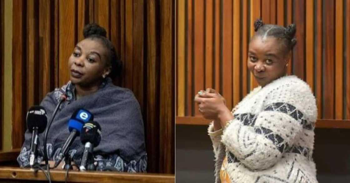 Nomia Rosemary Ndlovu, judgement day, Mzansi, life sentence