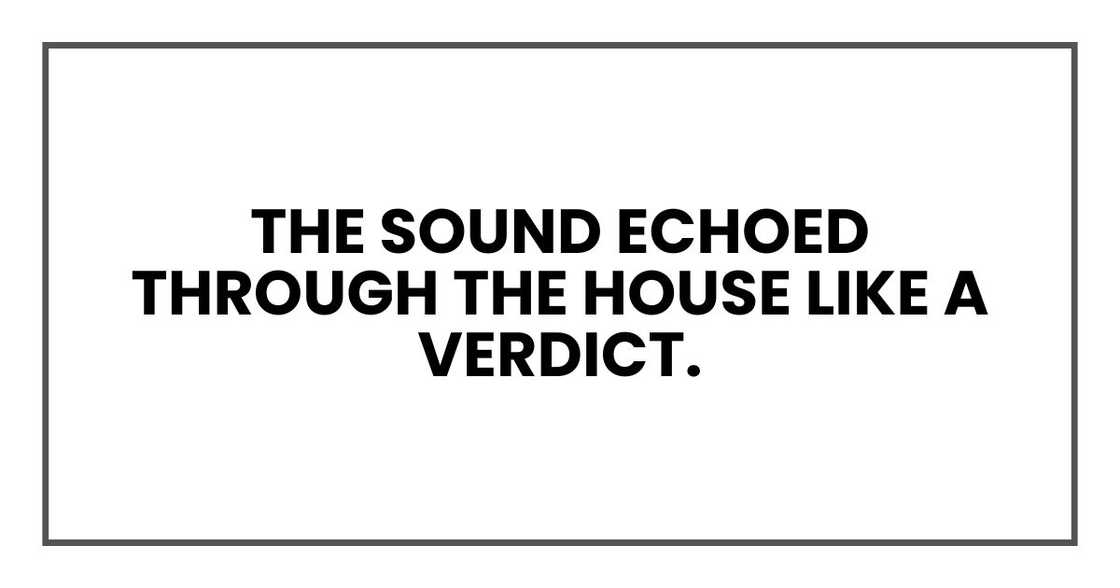 The sound echoed through the house like a verdict.