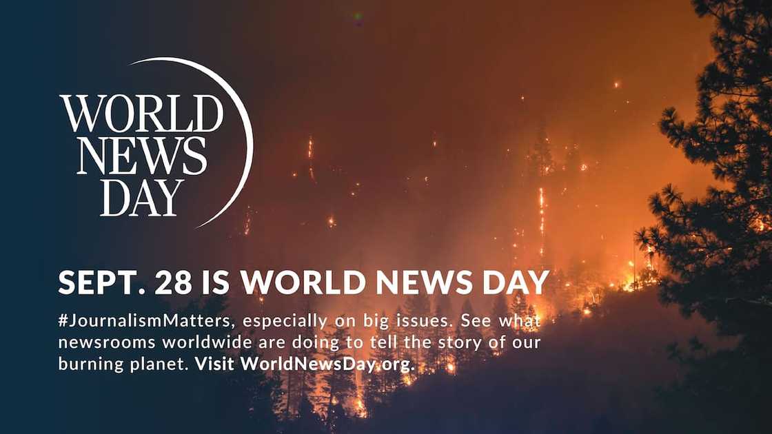 World News Day, Briefly News World News Day, Briefly News