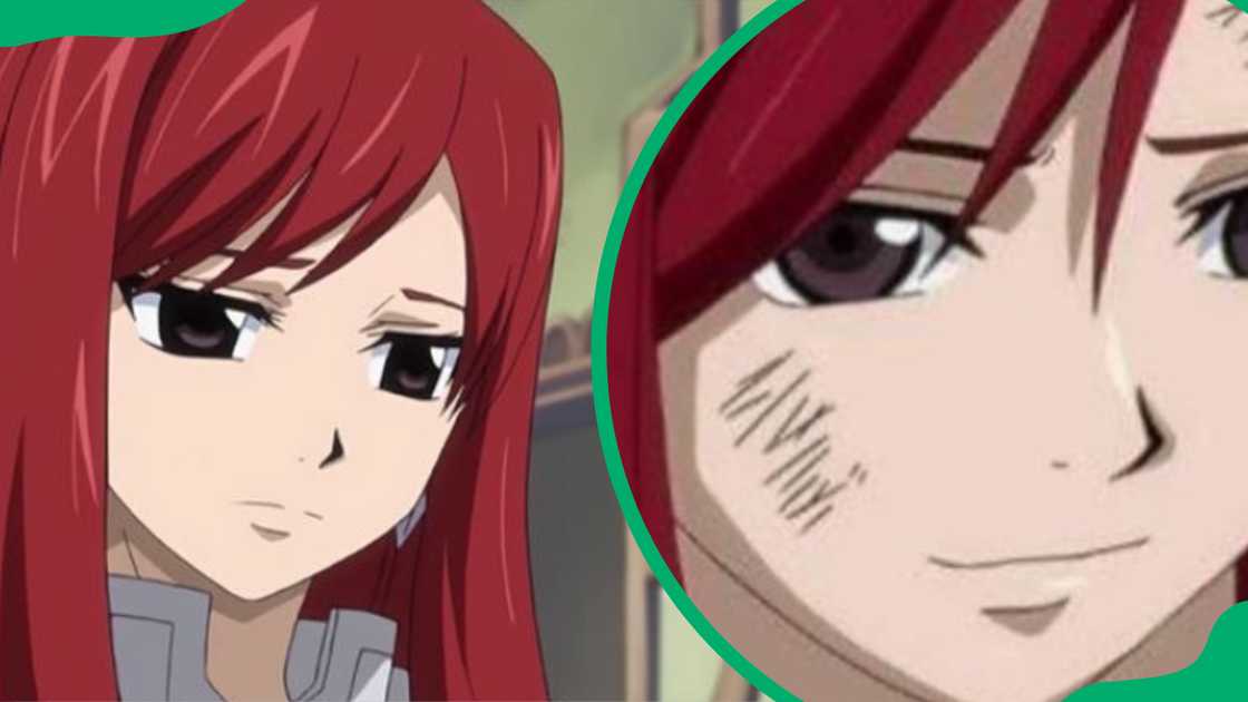 Erza Scarlet Erza Scarlet