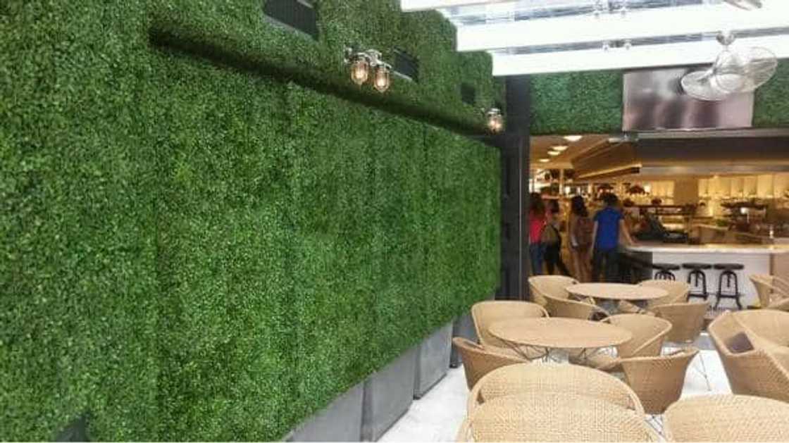 artificial grass ideas