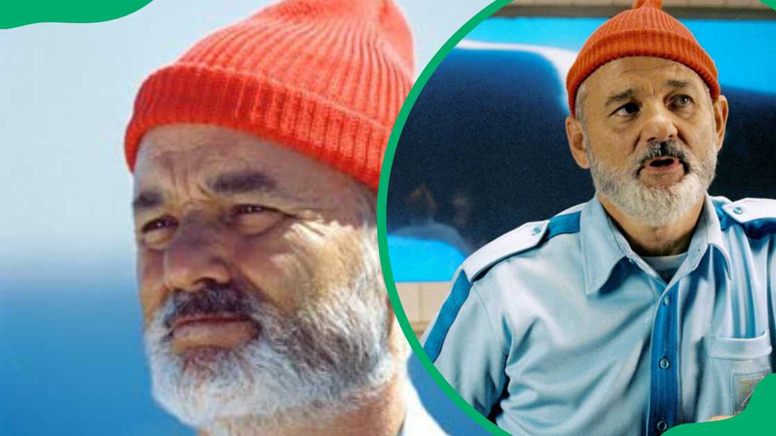 Captain Steve Zissou on The Life Aquatic