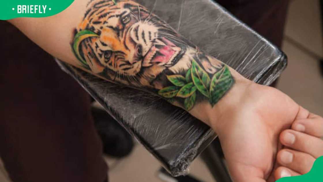 tiger roaring tattoo tiger roaring tattoo