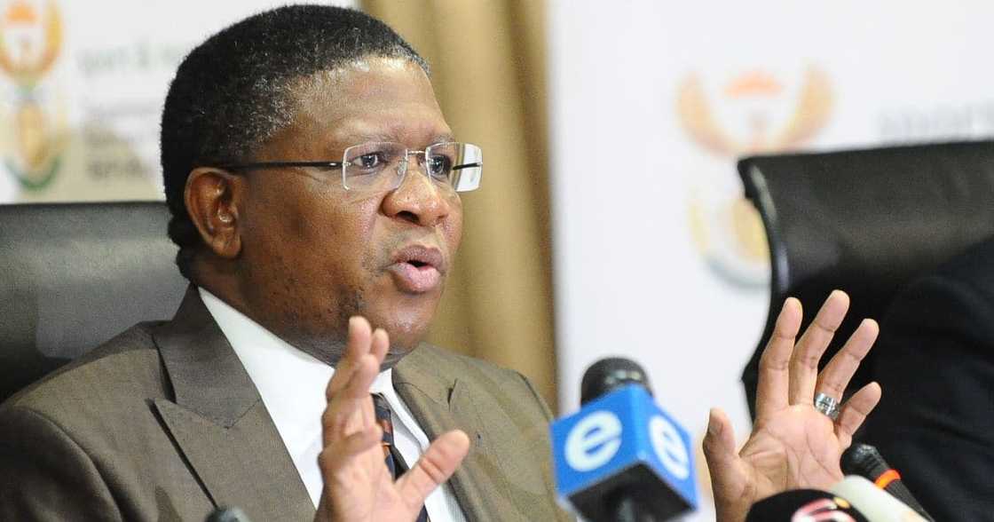 Fikile Mbalula