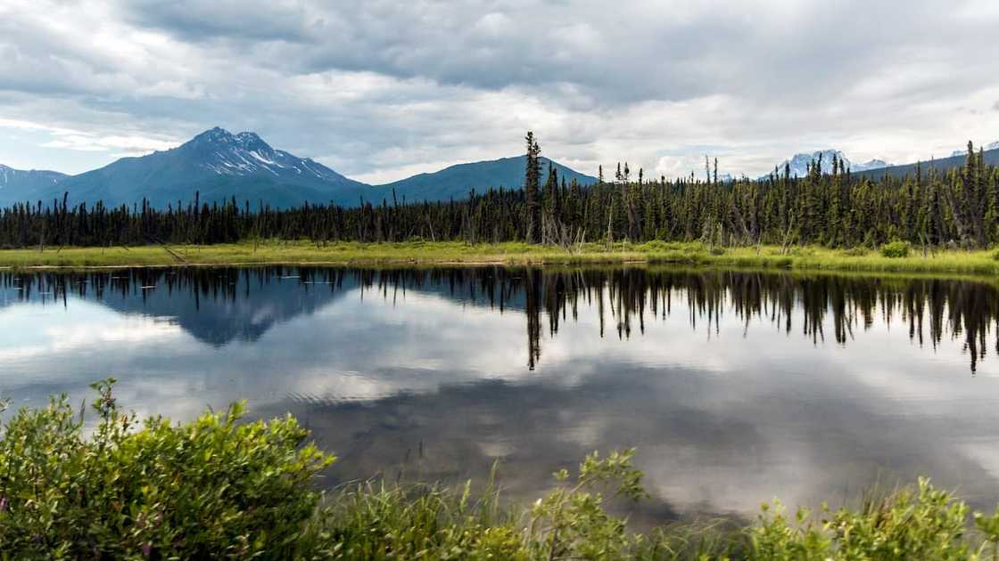 Vast parks in the world