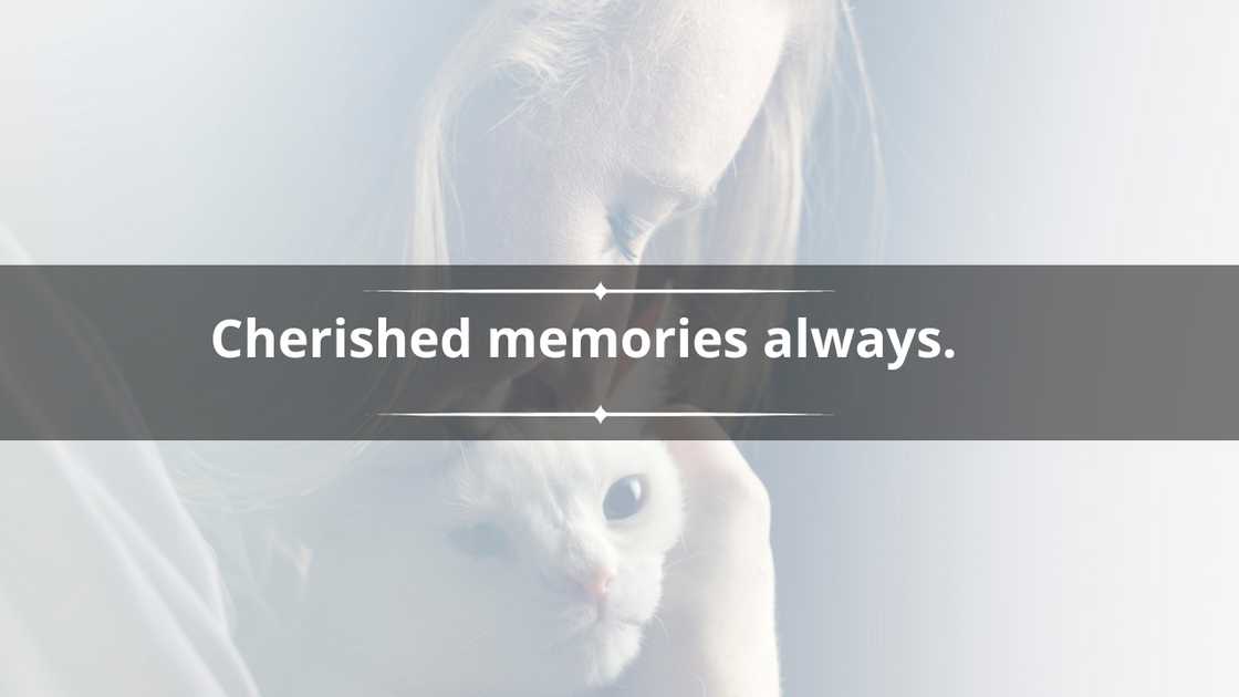 Short sayings for the loss of a pet