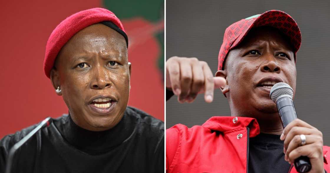 EFF leader slams influencer for using his name to scam people