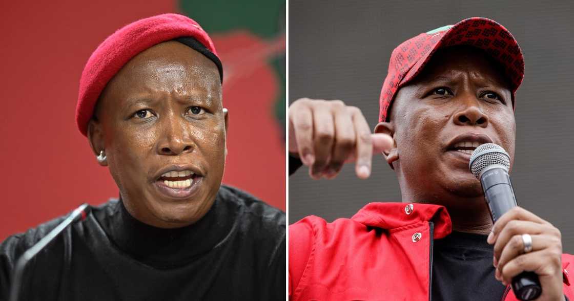 EFF leader slams influencer for using his name to scam people EFF leader slams influencer for using his name to scam people