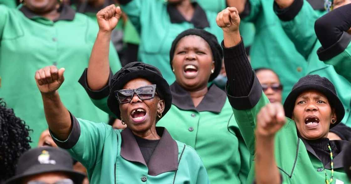 ANC Nec, disbands, Women's league executive, Bathabile Dlamini, perjury, conviction ANC Nec, disbands, Women's league executive, Bathabile Dlamini, perjury, conviction