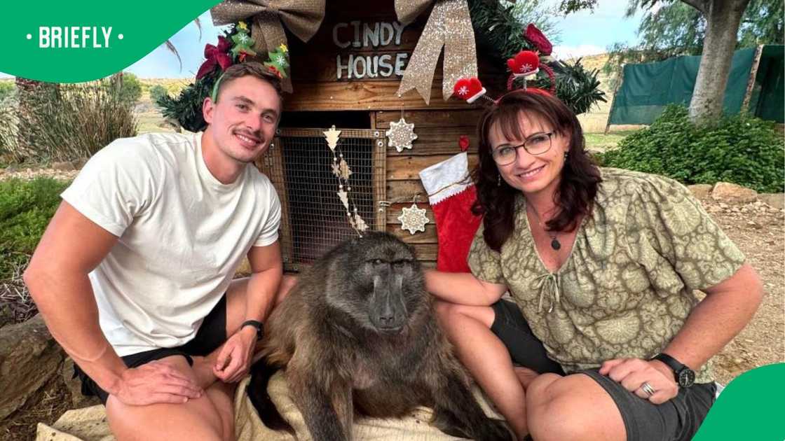 Cindy the Baboon with her family. Cindy the Baboon with her family.