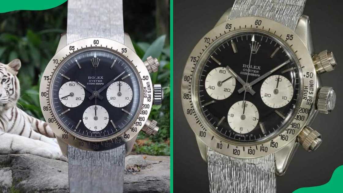 Rolex Daytona Unicorn watch Rolex Daytona Unicorn watch