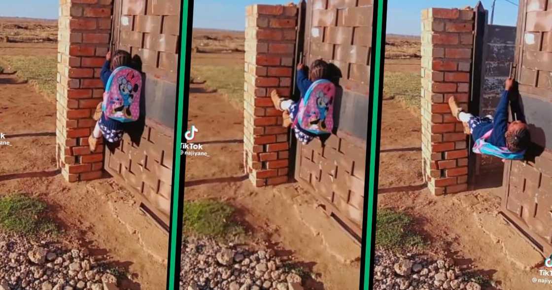 In this awe-inspiring video, we witness the moment when this little girl opens a heavy gate. In this awe-inspiring video, we witness the moment when this little girl opens a heavy gate.