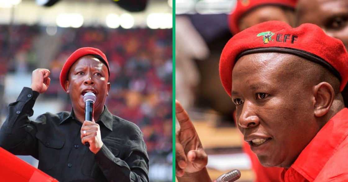 The judgement on whether to dismiss Julius Malema's case of firing a gun in 2018 was read at the East London Magistrates Court