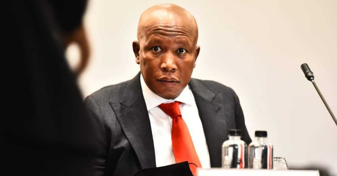 Malema Attacks Journalist During Chief Justice Interviews: 'I'm Not Talking to You' Malema Attacks Journalist During Chief Justice Interviews: 'I'm Not Talking to You'