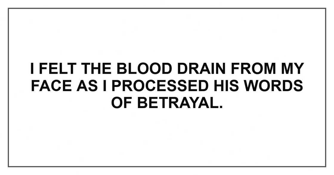 I felt the blood drain from my face as I processed his words of betrayal. I felt the blood drain from my face as I processed his words of betrayal.