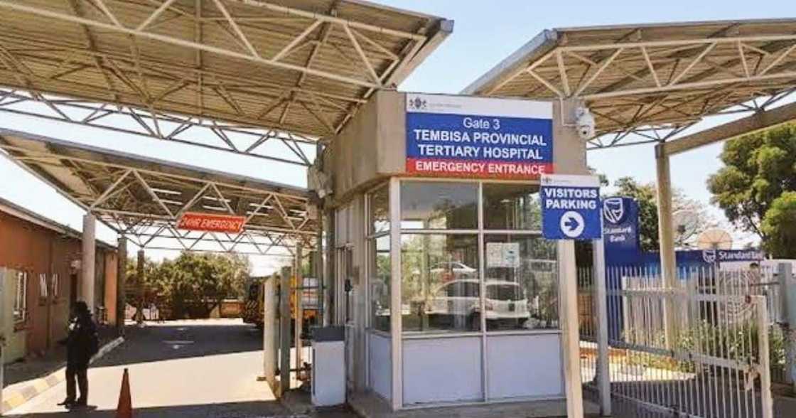 Tembisa Hospital, Tembisa, Gauteng, murder-suicide, Gauteng Department of Health, breaking news, South Africa Tembisa Hospital, Tembisa, Gauteng, murder-suicide, Gauteng Department of Health, breaking news, South Africa