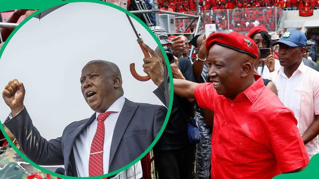 Julius Malema's net worth in 2024 Julius Malema's net worth in 2024