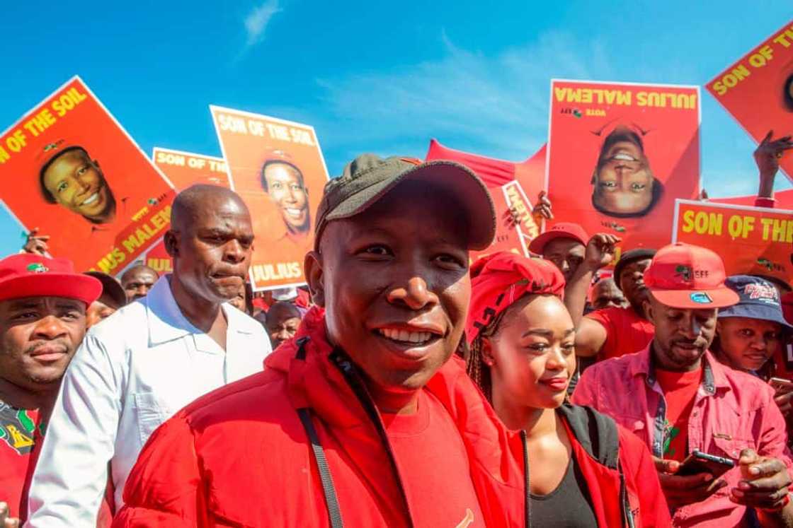 ANCYL, Julius Malema, ANC, EFF ANCYL, Julius Malema, ANC, EFF